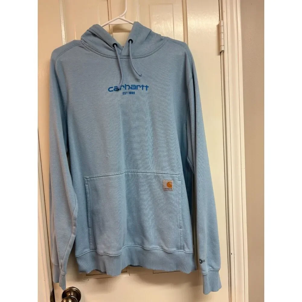 Carhartt Force® Relaxed Fit Lightweight Logo Graphic Hoodie
